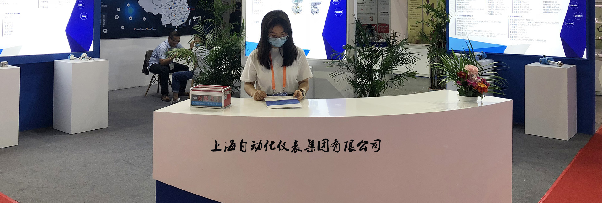 上海自動化儀表集團(tuán)有限公司